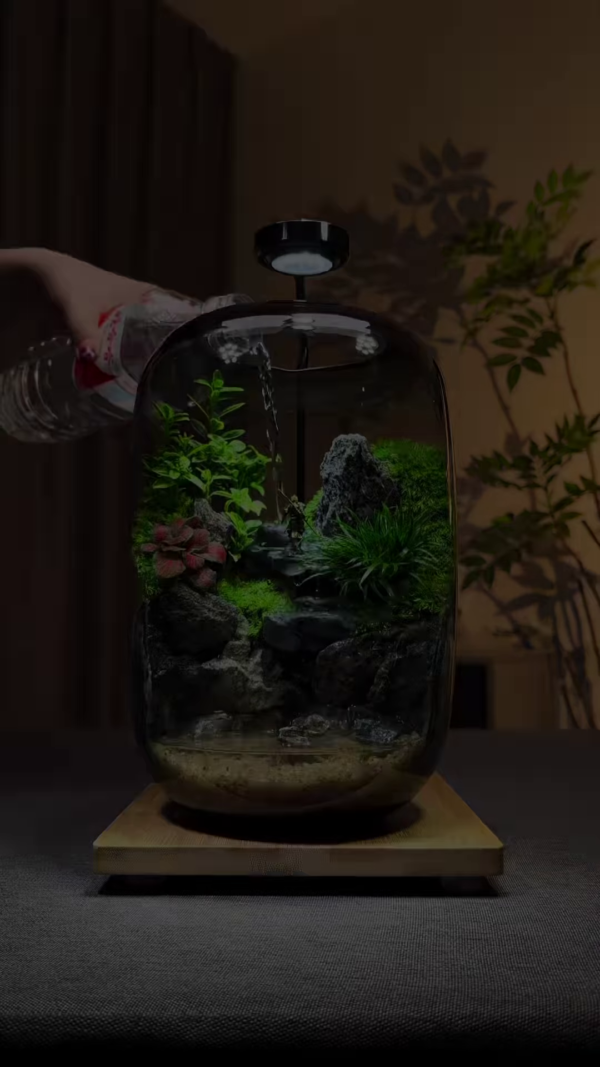 A Miniature World in a Jar: Nature’s Art at Your Fingertips - Image 2