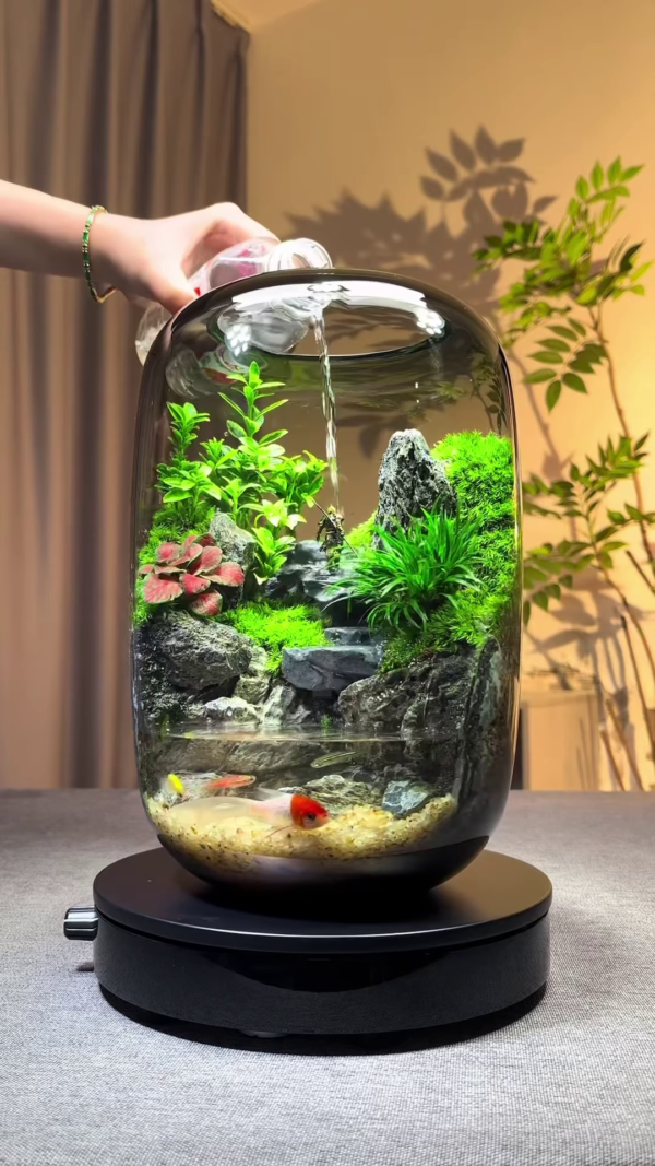 A Miniature World in a Jar: Nature’s Art at Your Fingertips
