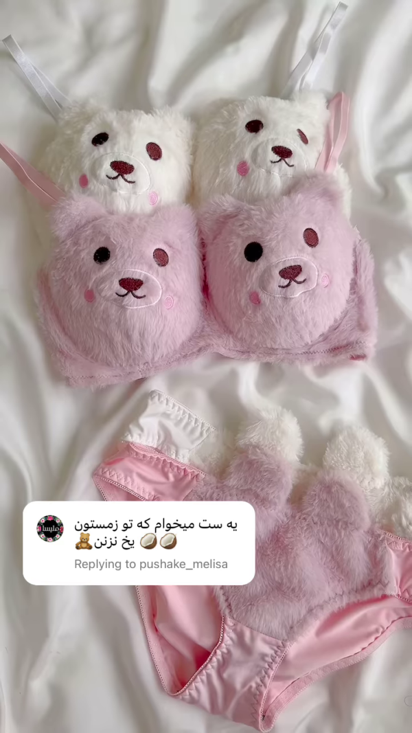 Adorable Fuzzy Bear Lingerie Set